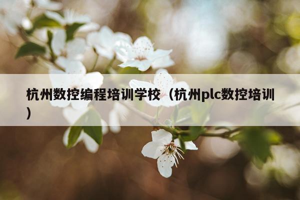 杭州数控编程培训学校（杭州plc数控培训）