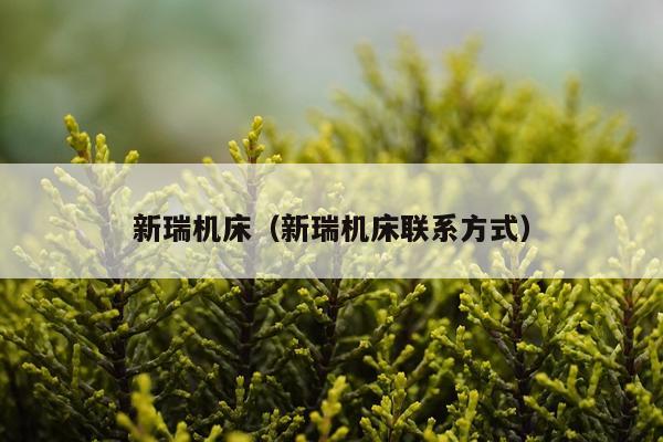 新瑞机床（新瑞机床联系方式）