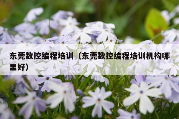 东莞数控编程培训（东莞数控编程培训机构哪里好）