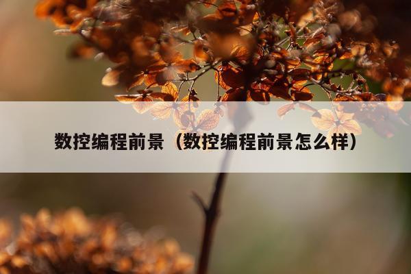 数控编程前景（数控编程前景怎么样）