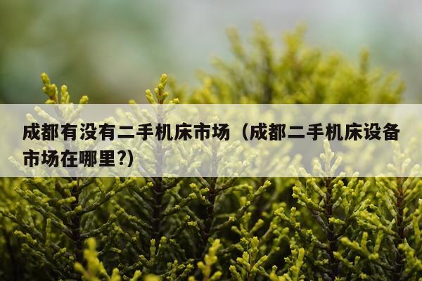 成都有没有二手机床市场（成都二手机床设备市场在哪里?）