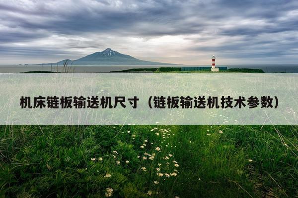 机床链板输送机尺寸（链板输送机技术参数）