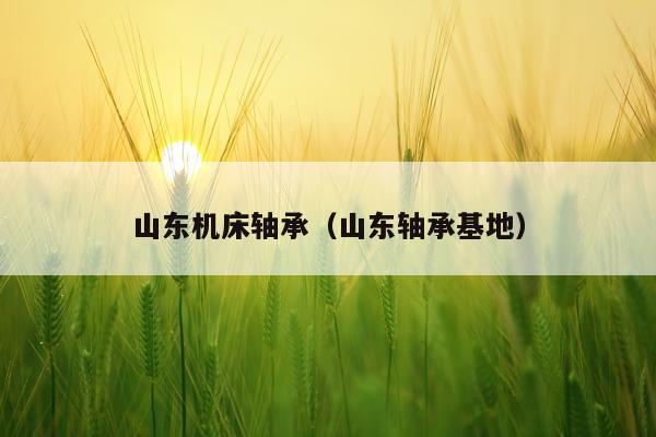 山东机床轴承（山东轴承基地）