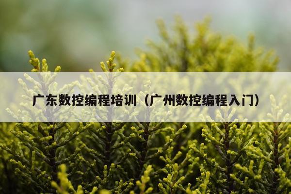 广东数控编程培训（广州数控编程入门）