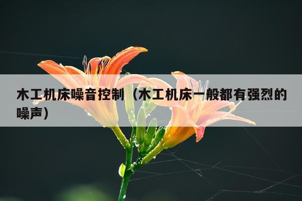 木工机床噪音控制（木工机床一般都有强烈的噪声）