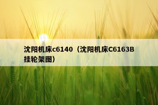 沈阳机床c6140（沈阳机床C6163B挂轮架图）