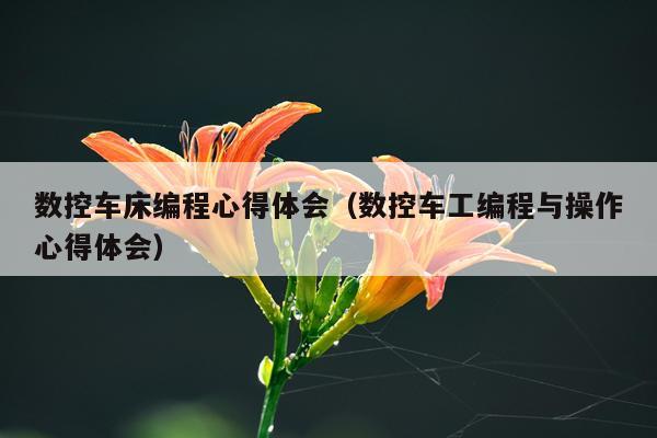 数控车床编程心得体会（数控车工编程与操作心得体会）