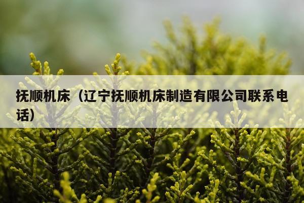 抚顺机床（辽宁抚顺机床制造有限公司联系电话）