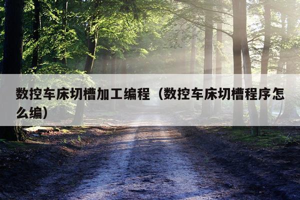 数控车床切槽加工编程（数控车床切槽程序怎么编）