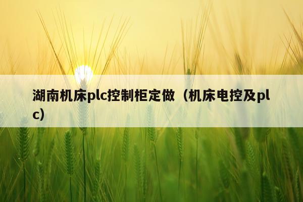 湖南机床plc控制柜定做（机床电控及plc）