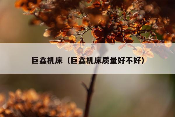 巨鑫机床（巨鑫机床质量好不好）