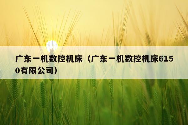 广东一机数控机床（广东一机数控机床6150有限公司）