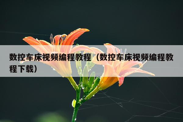 数控车床视频编程教程（数控车床视频编程教程下载）