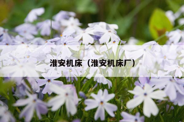 淮安机床(淮安机床厂)