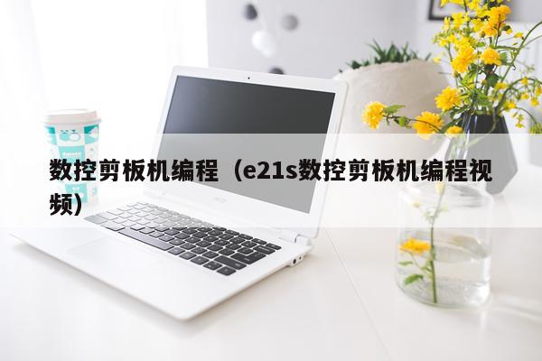 数控剪板机编程（e21s数控剪板机编程视频）