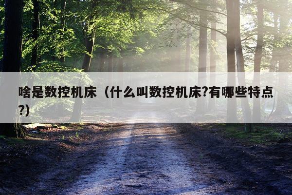 啥是数控机床(什么叫数控机床?有哪些特点?)