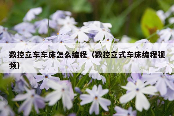 数控立车车床怎么编程（数控立式车床编程视频）