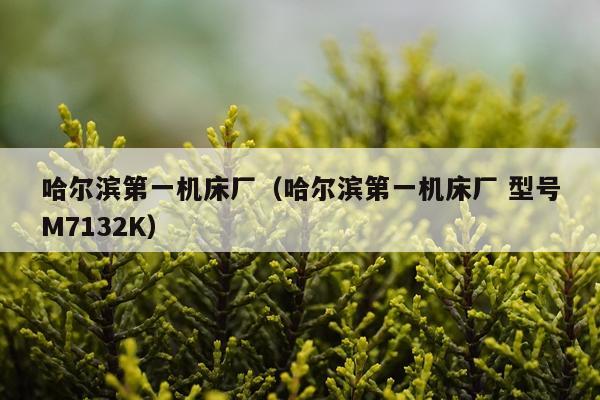 哈尔滨第一机床厂（哈尔滨第一机床厂 型号M7132K）