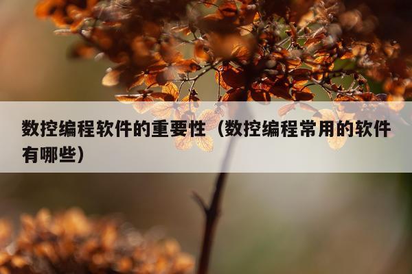 数控编程软件的重要性（数控编程常用的软件有哪些）