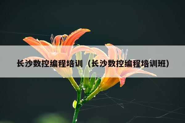 长沙数控编程培训（长沙数控编程培训班）
