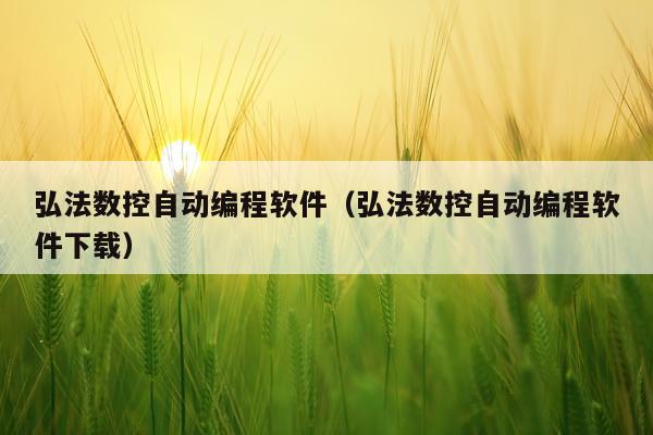 弘法数控自动编程软件（弘法数控自动编程软件下载）