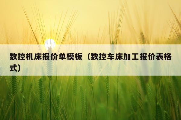 数控机床报价单模板（数控车床加工报价表格式）