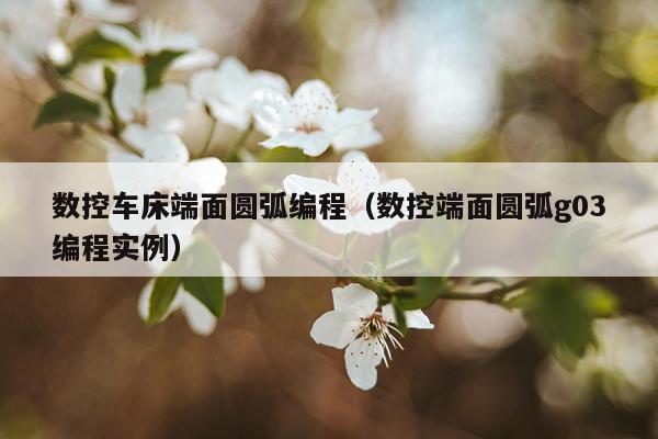 数控车床端面圆弧编程（数控端面圆弧g03编程实例）