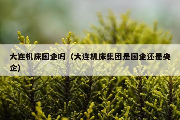 大连机床国企吗（大连机床集团是国企还是央企）
