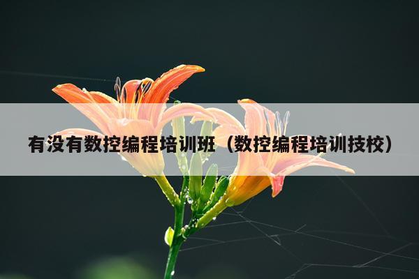 有没有数控编程培训班（数控编程培训技校）
