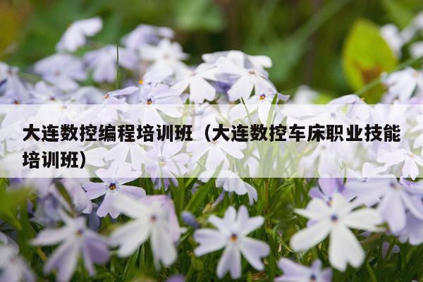 大连数控编程培训班（大连数控车床职业技能培训班）