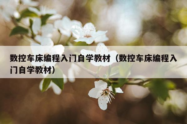 数控车床编程入门自学教材（数控车床编程入门自学教材）