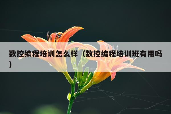 数控编程培训怎么样（数控编程培训班有用吗）