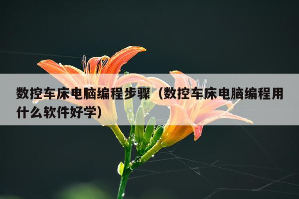 数控车床电脑编程步骤(数控车床电脑编程用什么软件好学)