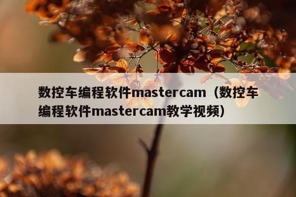 数控车编程软件mastercam(数控车编程软件mastercam教学视频)