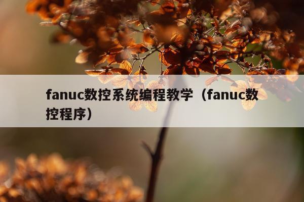 fanuc数控系统编程教学(fanuc数控程序)