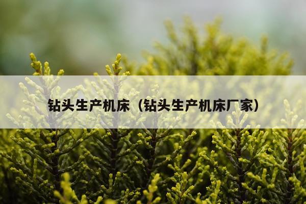钻头生产机床(钻头生产机床厂家)
