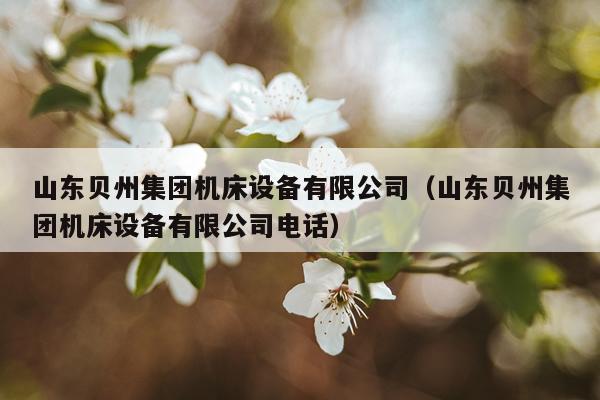 山东贝州集团机床设备有限公司(山东贝州集团机床设备有限公司电话)