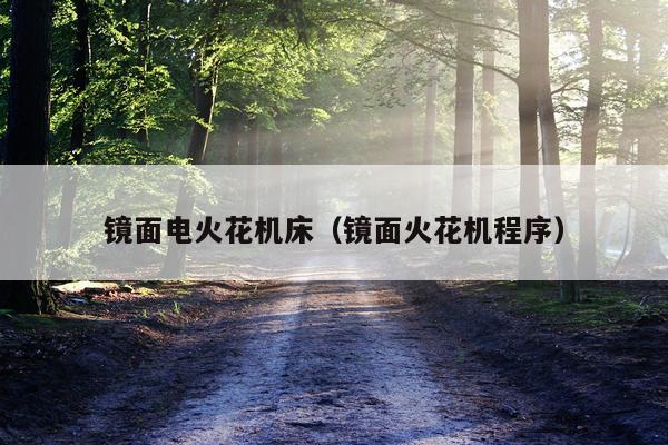 镜面电火花机床(镜面火花机程序)