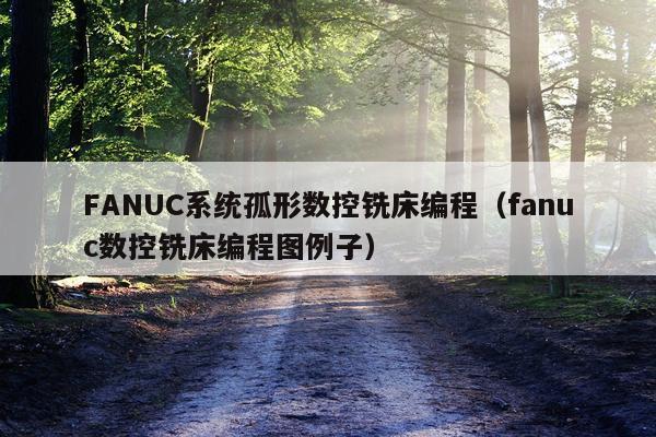 FANUC系统孤形数控铣床编程(fanuc数控铣床编程图例子)