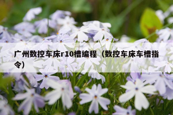 广州数控车床r10槽编程(数控车床车槽指令)