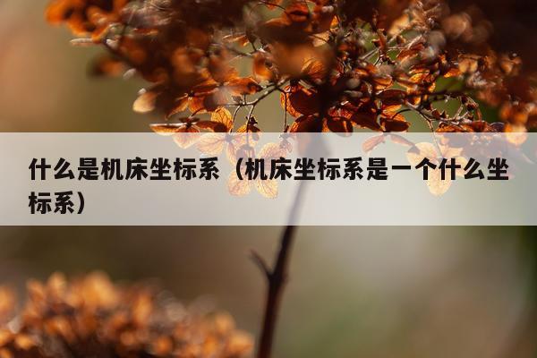 什么是机床坐标系（机床坐标系是一个什么坐标系）