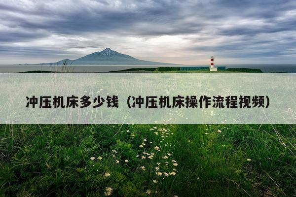 冲压机床多少钱（冲压机床操作流程视频）