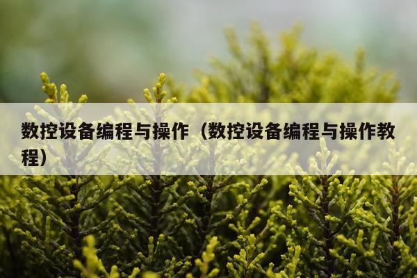 数控设备编程与操作(数控设备编程与操作教程)