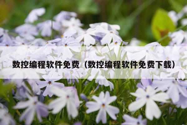 数控编程软件免费(数控编程软件免费下载)