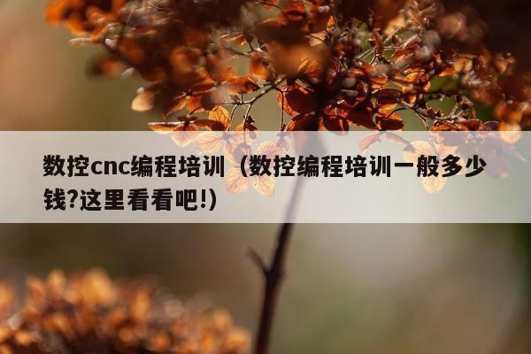 数控cnc编程培训(数控编程培训一般多少钱?这里看看吧!)