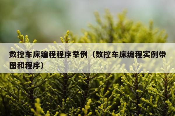 数控车床编程程序举例（数控车床编程实例带图和程序）