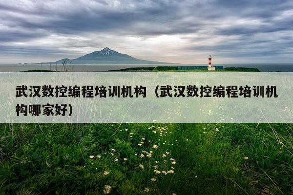 武汉数控编程培训机构（武汉数控编程培训机构哪家好）