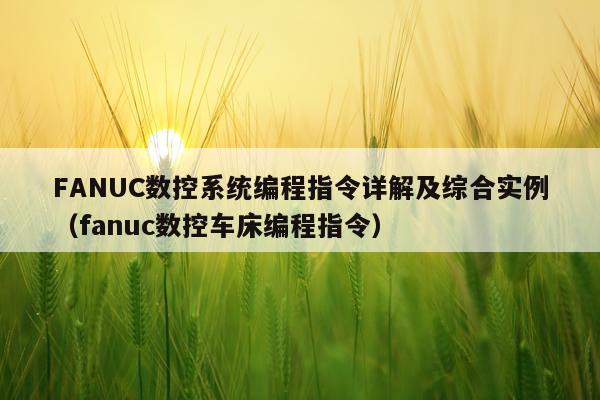 FANUC数控系统编程指令详解及综合实例（fanuc数控车床编程指令）
