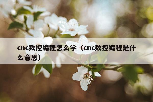 cnc数控编程怎么学（cnc数控编程是什么意思）