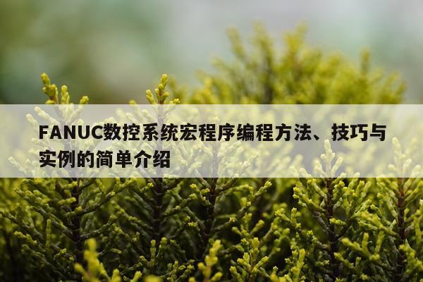 FANUC数控系统宏程序编程方法、技巧与实例的简单介绍